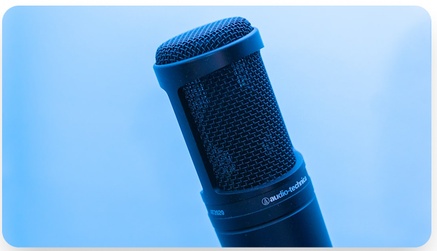 Professional microphone